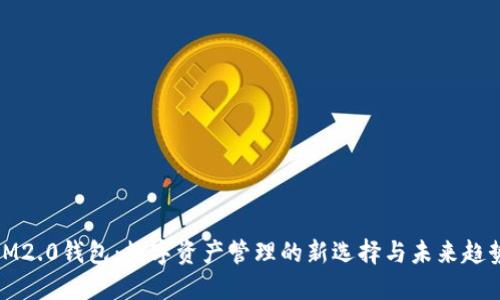 IM2.0钱包：数字资产管理的新选择与未来趋势
