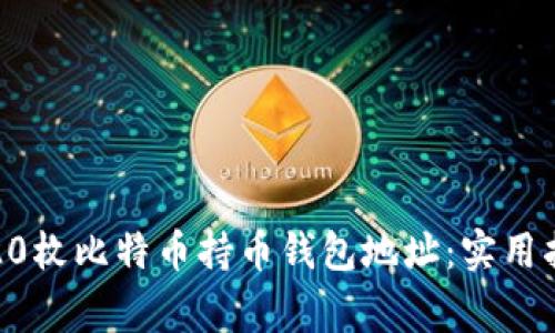 如何安全管理20枚比特币持币钱包地址：实用指南与注意事项