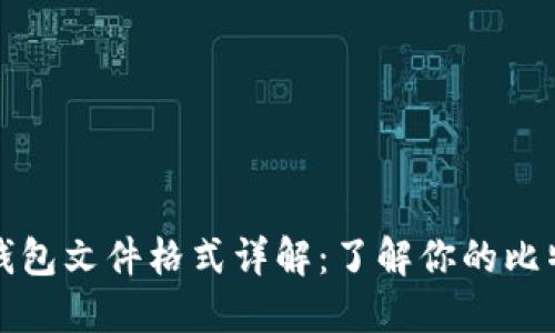 比特币钱包文件格式详解：了解你的比特币钱包