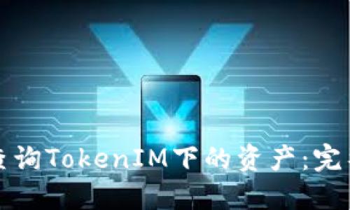 如何查询TokenIM下的资产：完整指南