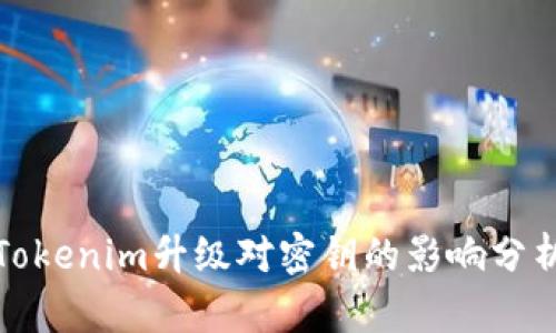 Tokenim升级对密钥的影响分析