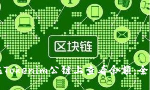 如何在Tokenim公链上查看余额：全面指南