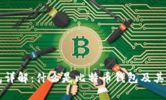 比特币钱包详解：什么是比特币钱包及其功能和