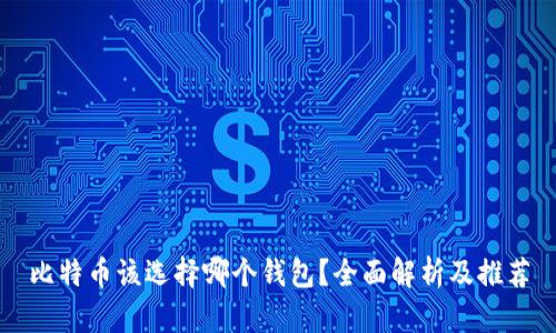 比特币该选择哪个钱包？全面解析及推荐