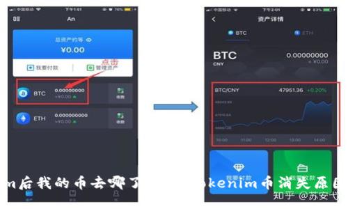 更新Tokenim后我的币去哪了？详解Tokenim币消失原因及解决方案