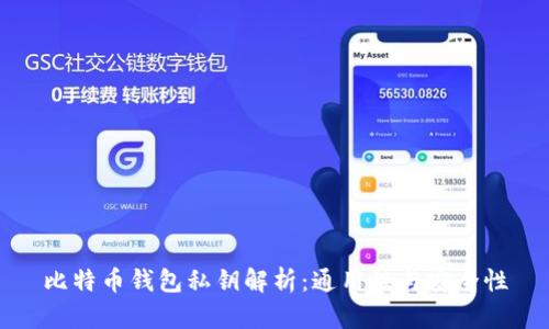 比特币钱包私钥解析：通用性与安全性