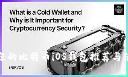 最受欢迎的比特币iOS钱包推荐与使用指南