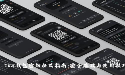 : TRX钱包密钥格式指南：安全存储与使用技巧