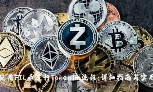 如何使用FIL币进行Tokenim流程：详细指南与实用技巧