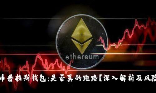 比特币普拉斯钱包：是否真的跑路？深入解析及风险防范