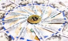 什么是Plus Token钱包？在数