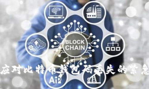 如何应对比特币钱包码丢失的紧急指南