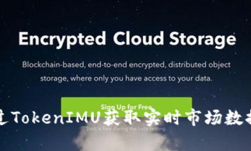 如何通过TokenIMU获取实时市场数据和分析