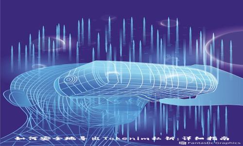 如何安全地导出Tokenim私钥：详细指南