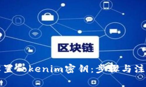 如何设置Tokenim密钥：步骤与注意事项