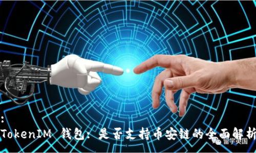 :
TokenIM 钱包: 是否支持币安链的全面解析