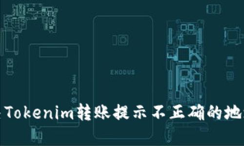如何解决Tokenim转账提示不正确的地址的问题