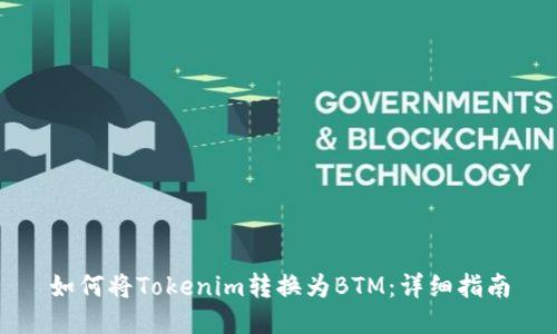 如何将Tokenim转换为BTM：详细指南