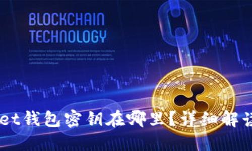 Token Pocket钱包密钥在哪里？详细解读与安全指南