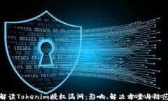 深入解读Tokenim授权漏洞：