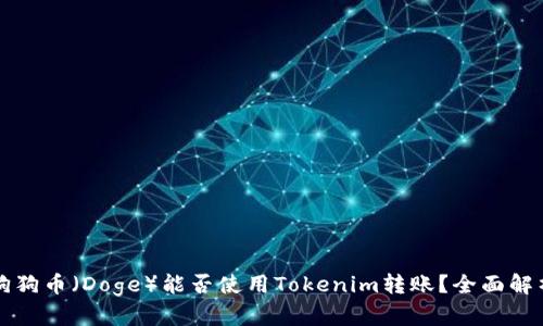 狗狗币（Doge）能否使用Tokenim转账？全面解析