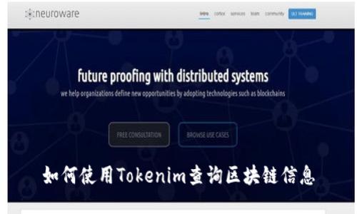 如何使用Tokenim查询区块链信息