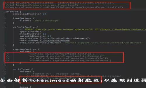 全面解析Tokenimeos映射教程：从基础到进阶