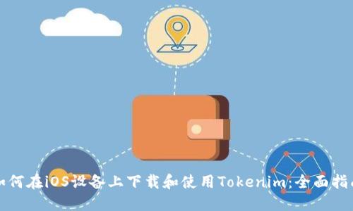 如何在iOS设备上下载和使用Tokenim：全面指南
