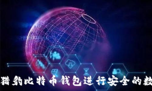   
  如何使用猎豹比特币钱包进行安全的数字资产管理