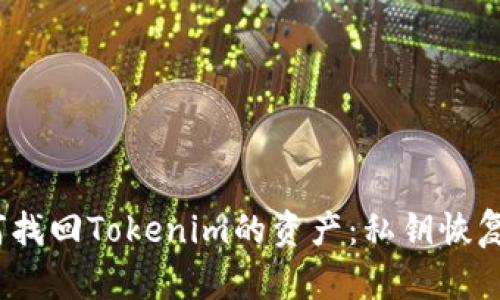 :如何找回Tokenim的资产：私钥恢复指南