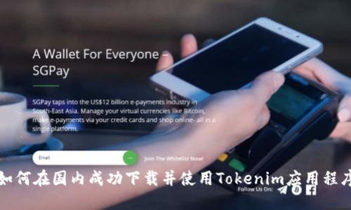 如何在国内成功下载并使用Tokenim应用程序