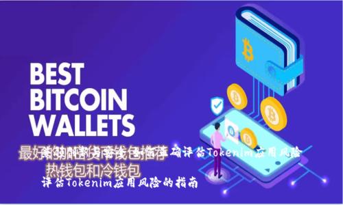 兼顾创新与安全：如何正确评估Tokenim应用风险

评估Tokenim应用风险的指南