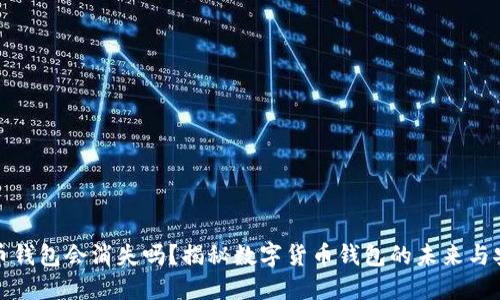 狗狗币钱包会消失吗？揭秘数字货币钱包的未来与安全性