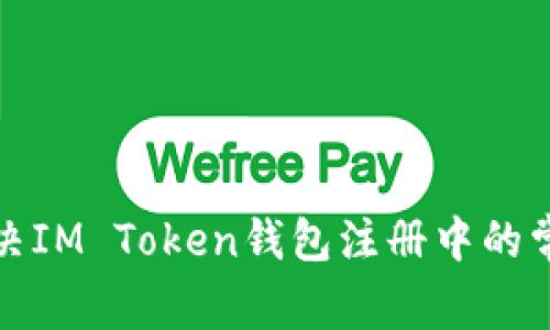如何解决IM Token钱包注册中的常见问题