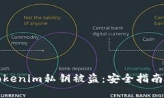 如何防范Tokenim私钥被盗：安全指南与最佳实践