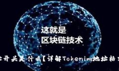 Tokenim地址开头是什么？详解Tokenim地址格式与使用